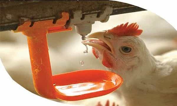 خرید و فروش فشار شکن آبخوری با شرایط فوق العاده